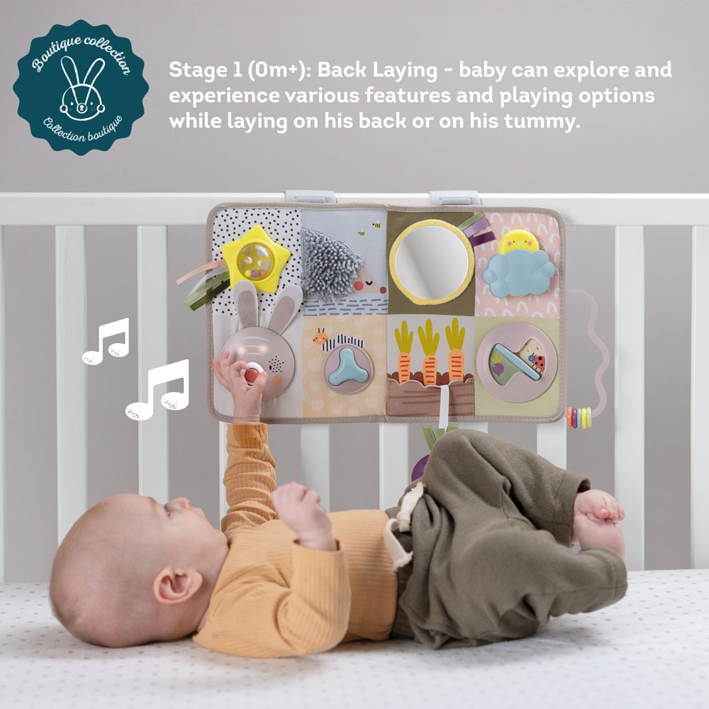 Taf Toys Developmental Activity center