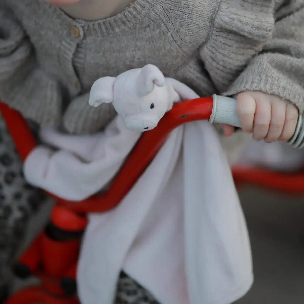 Rätt Start Lotta på Bråkmakargatan Bamsen koseteppekompis