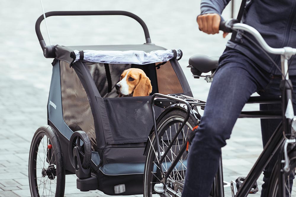 Thule Courier 2 sykkeltilhenger Egeerhavet blå