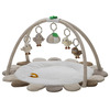 Right Start Owls Babygym