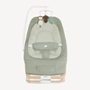 Joie Dreamer Babysitter Strata Mist Wood