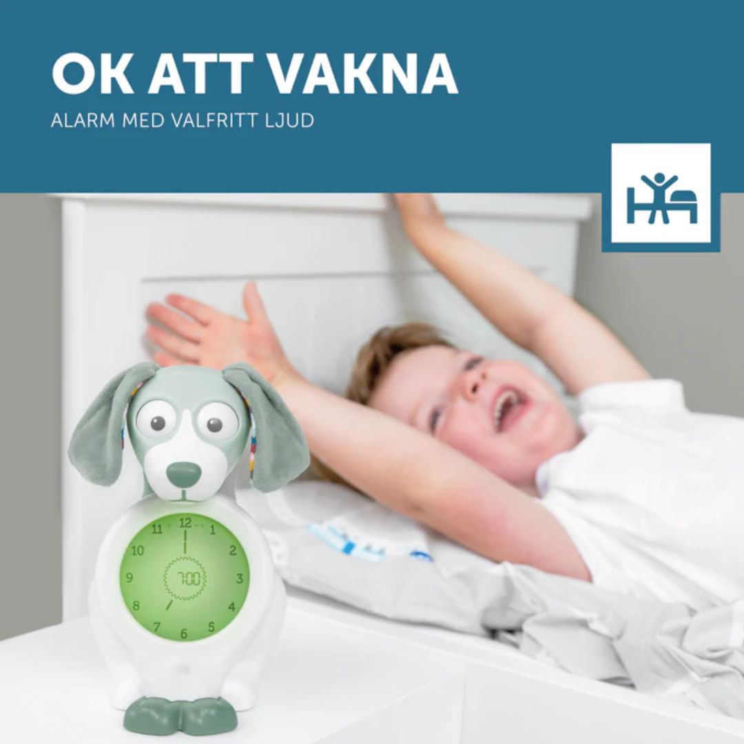 Zazu sovetrener nattlys Davy the dog Blue