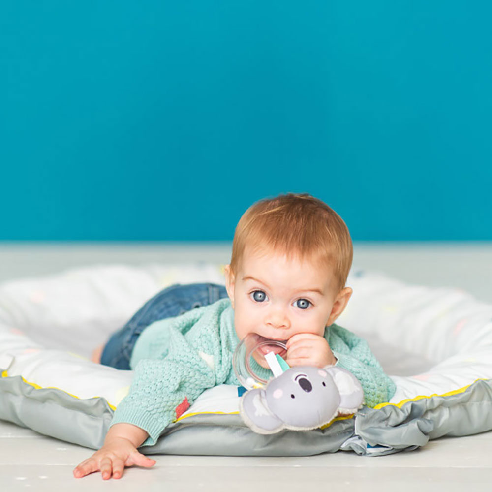 Taf Toys Kimmy koala rattle