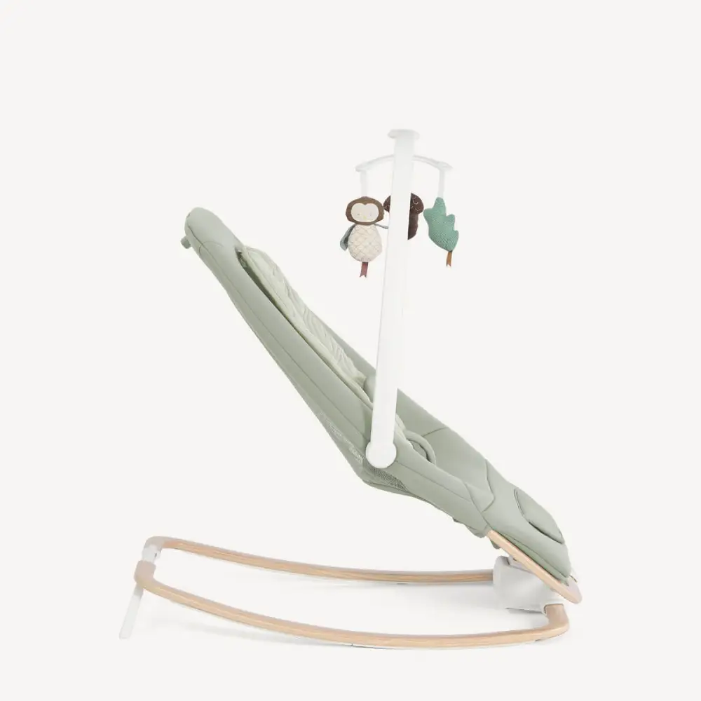 Joie Dreamer Babysitter Strata Mist Wood
