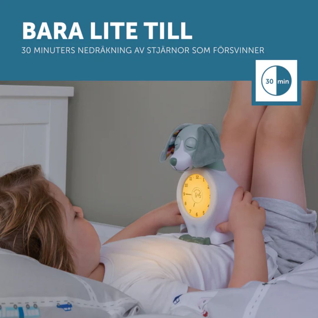 Zazu sovetrener nattlys Davy the dog Blue