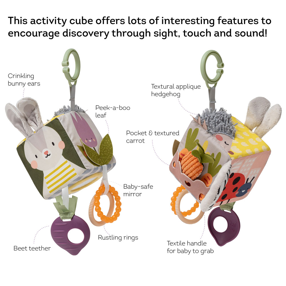 Taf Toys Urban Garden Activity cube