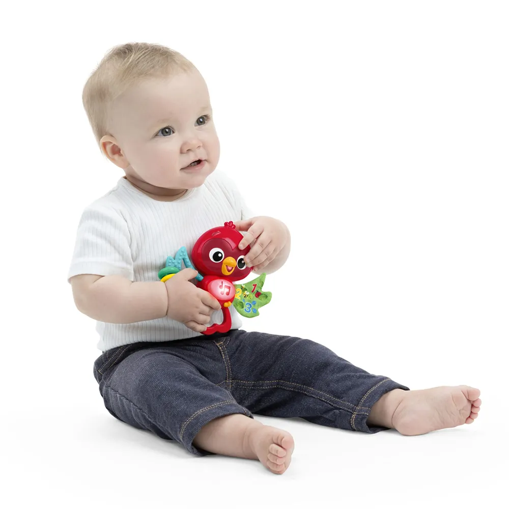 Baby Einstein Roxy's Bright Flight Musikalsk leketøy