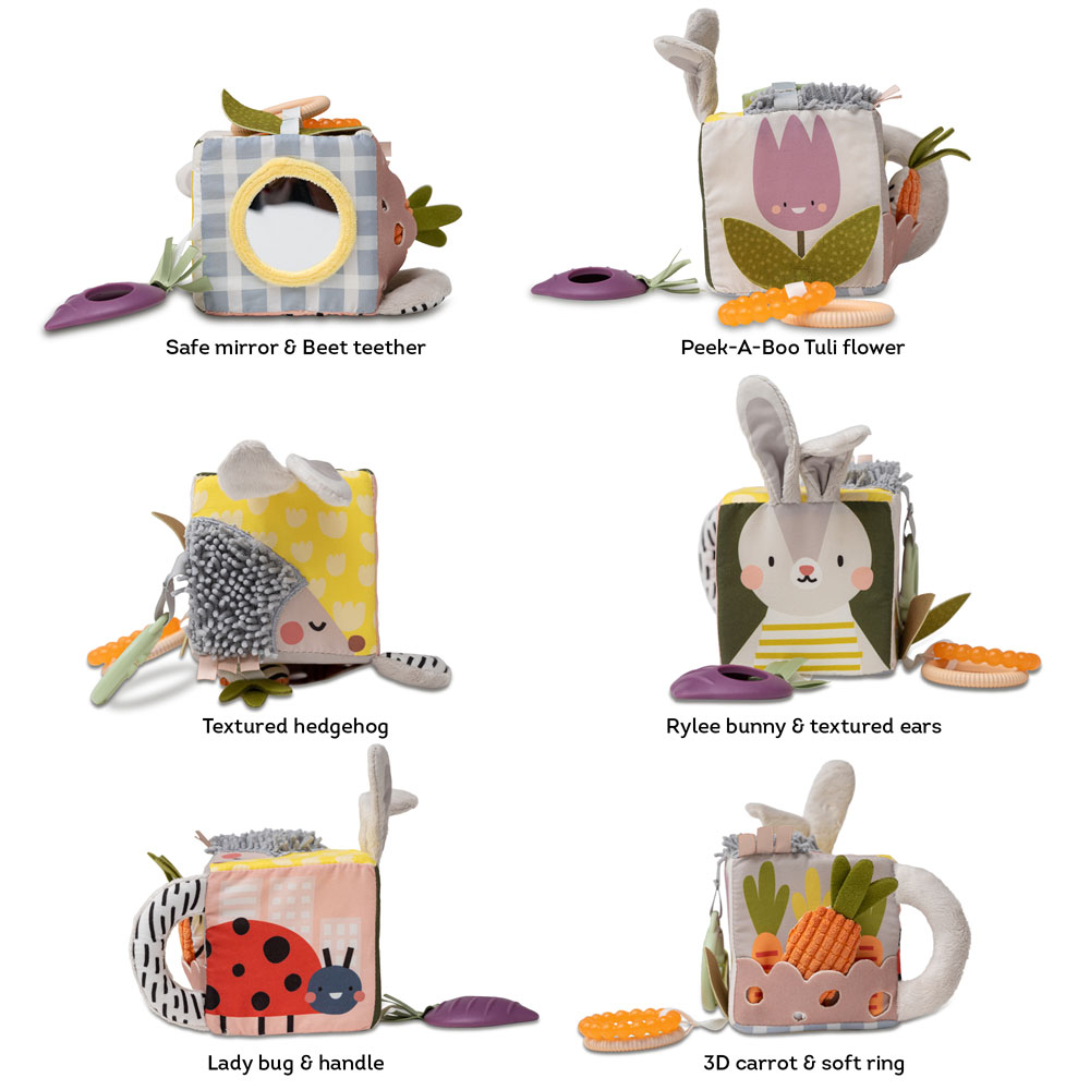 Taf Toys Urban Garden Activity cube