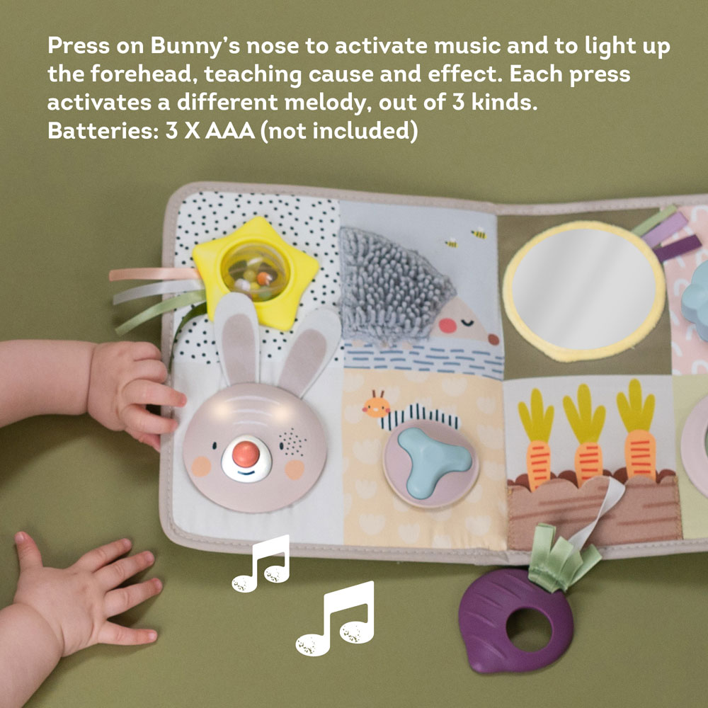 Taf Toys Developmental Activity center