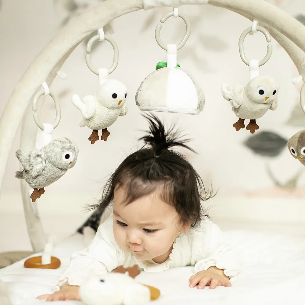 Right Start Owls Babygym