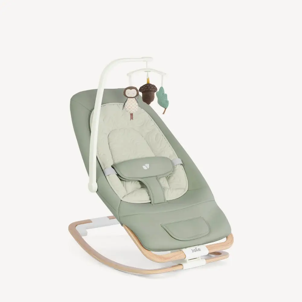 Joie Dreamer Babysitter Strata Mist Wood