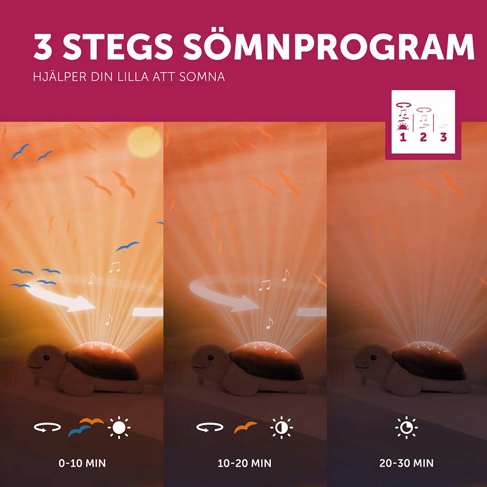 Skilpaddeprojektoren Zazu Tim