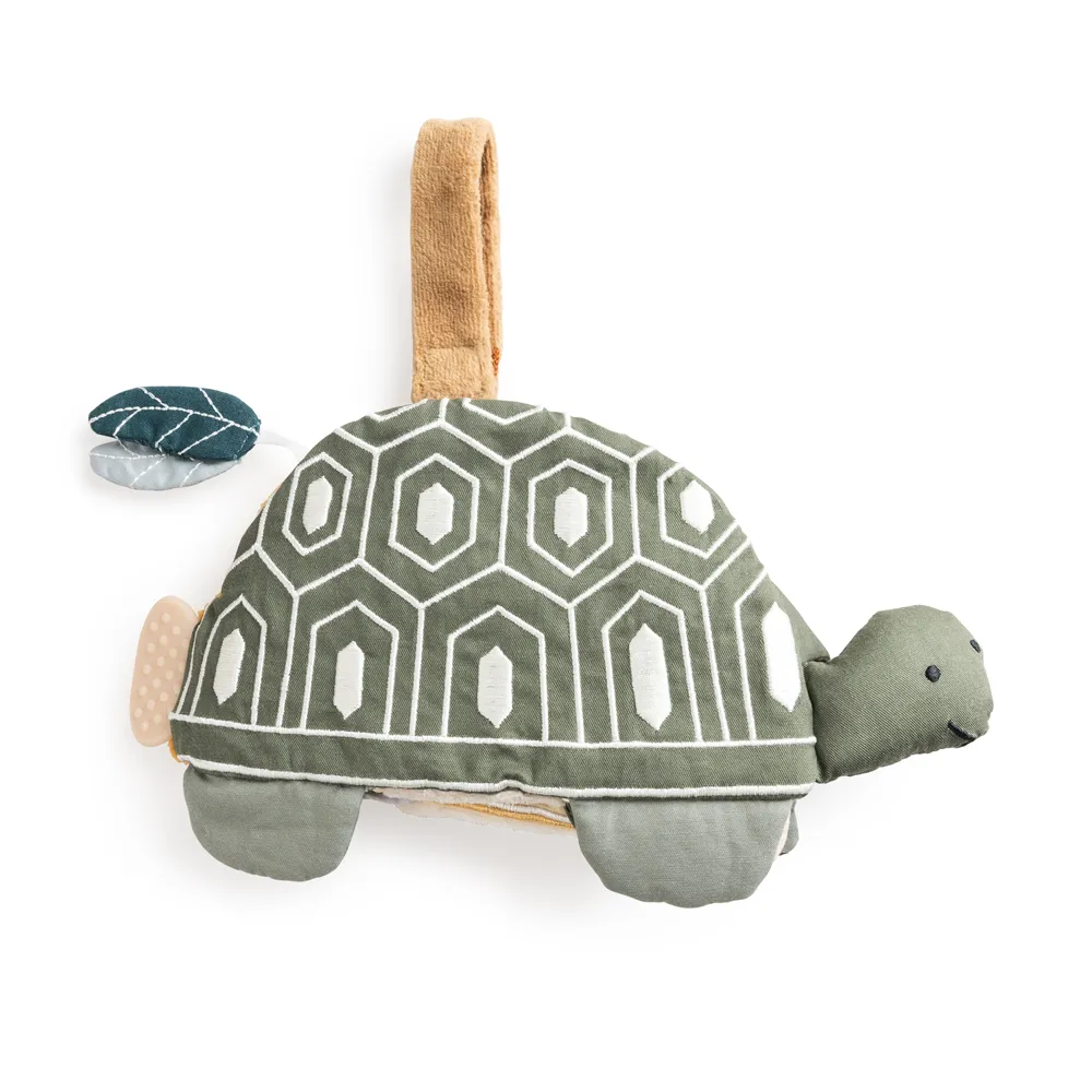 Sebra aktivitetsbok Turbo the Turtle