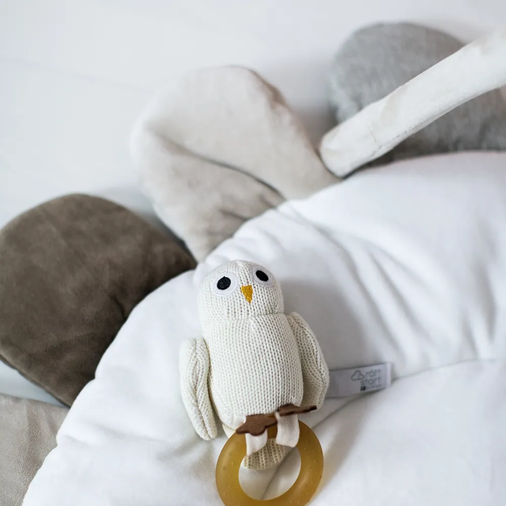 Right Start Owls Babygym