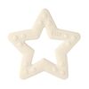 BIBS Star Ivory bitering