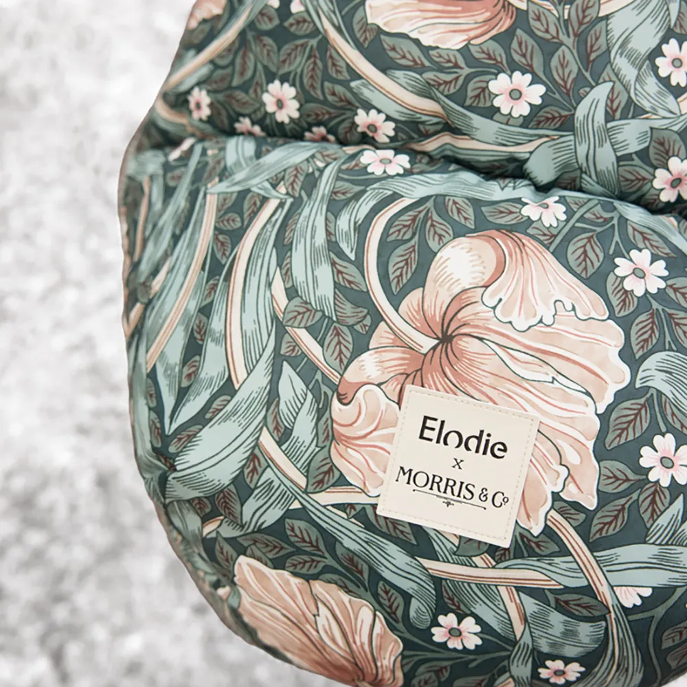 Elodie Vognpose Pimpernel