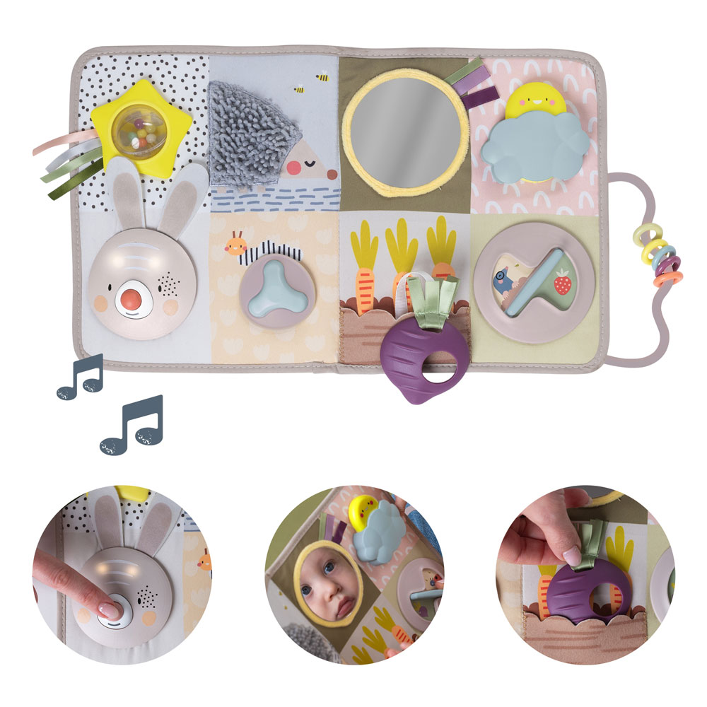 Taf Toys Developmental Activity center