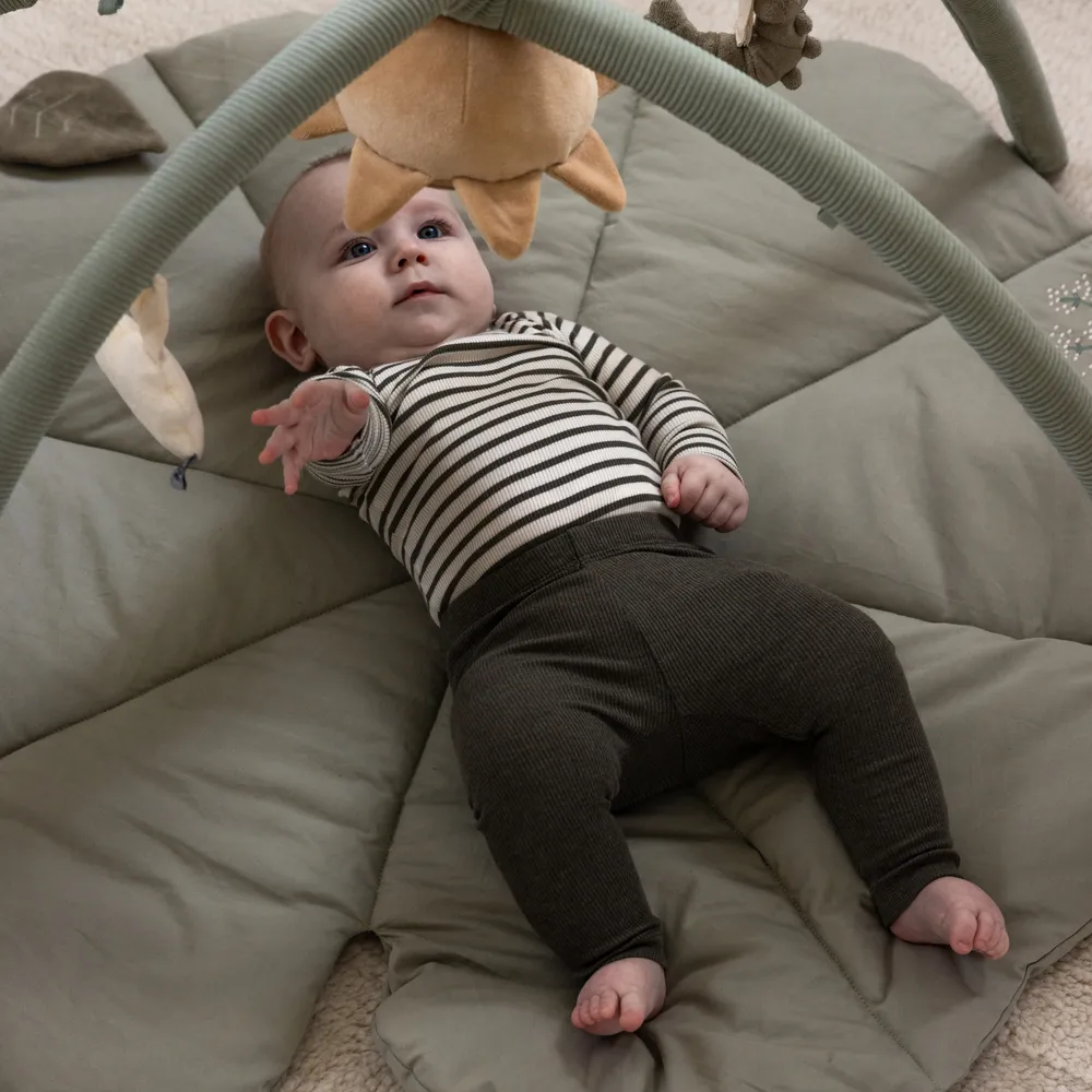 Sebra babygym Woodland