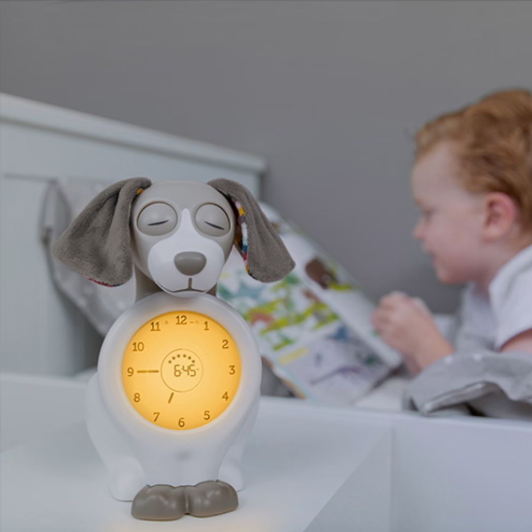 Zazu sleep trainer nattlys Davy the dog taupe