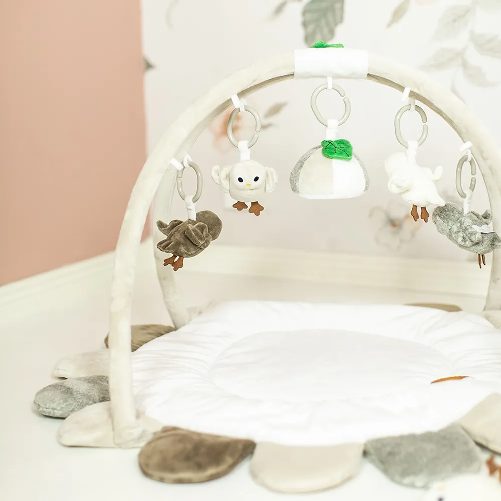 Right Start Owls Babygym
