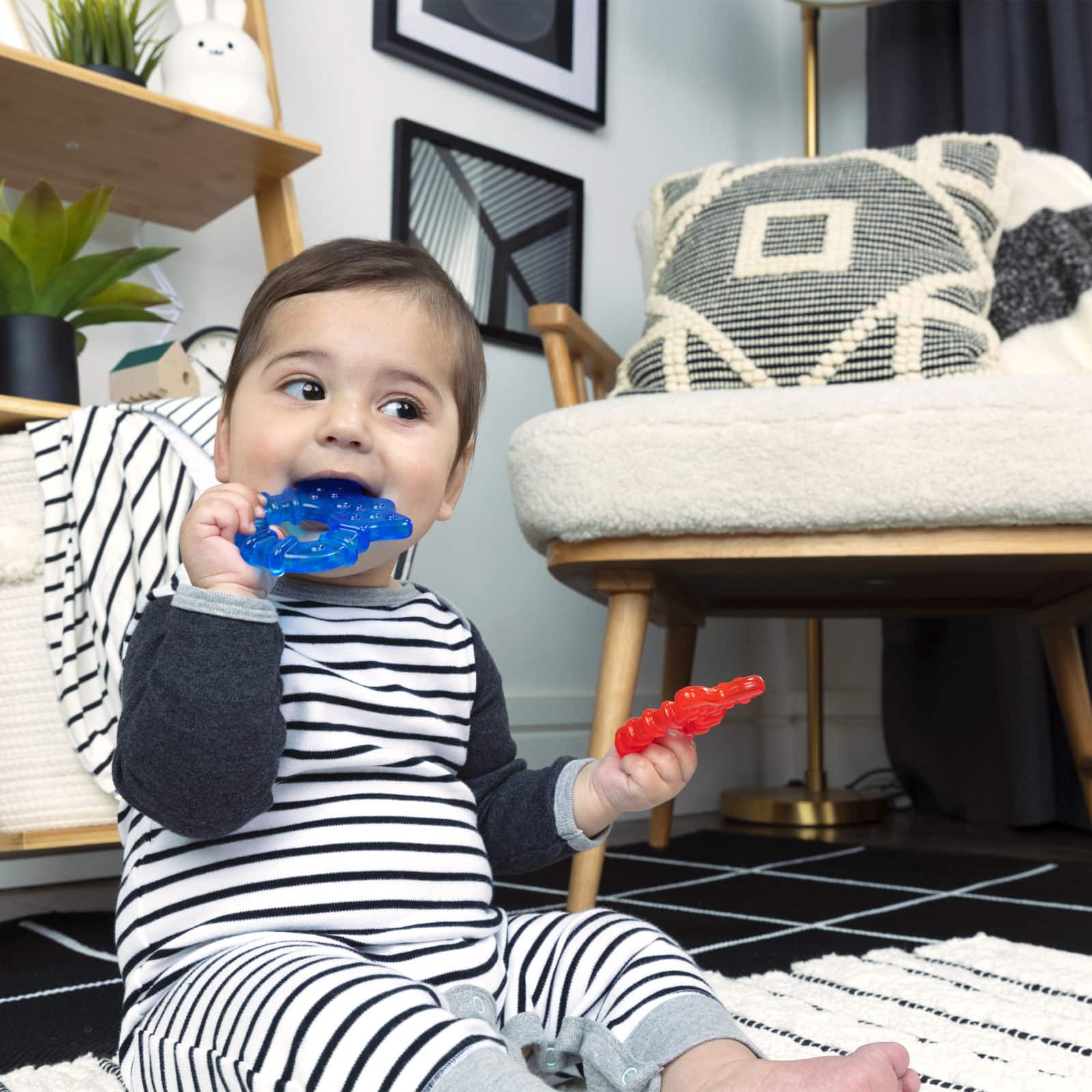 Baby Einstein Cool Critters Bitesett med biteleker
