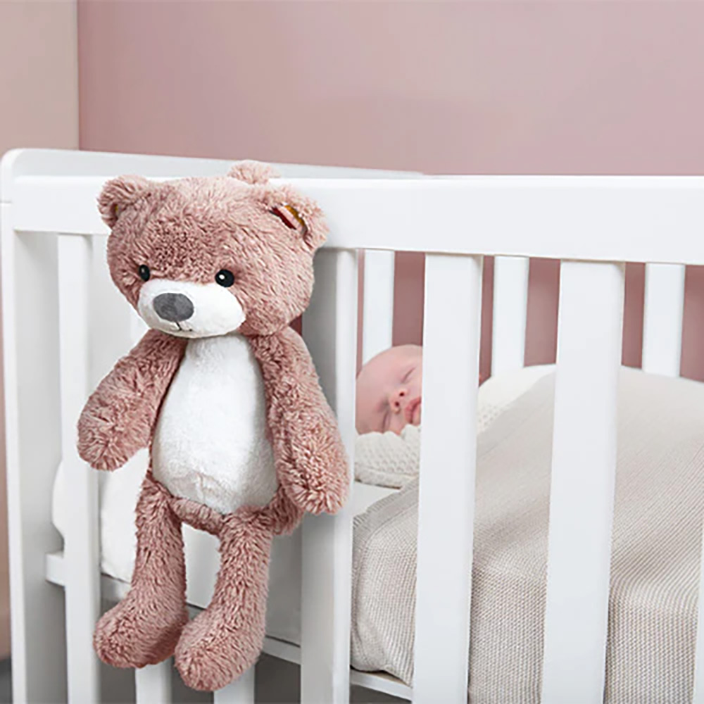 Zazu Brody the Bear Sleep Trainer/Nattlyserosa