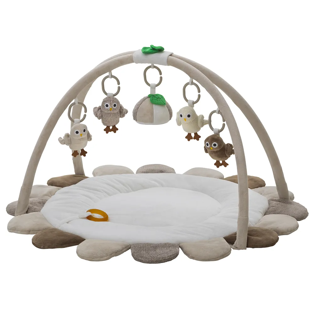 Right Start Owls Babygym