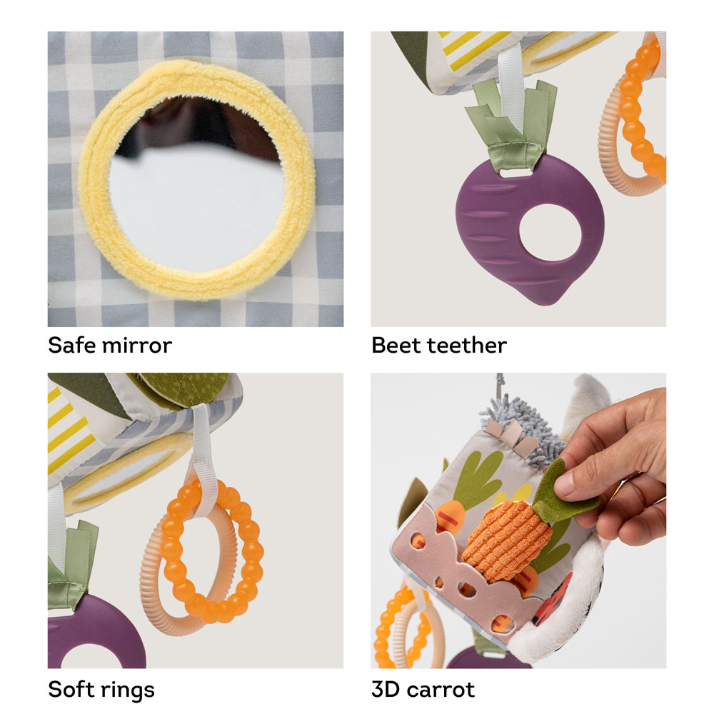 Taf Toys Urban Garden Activity cube