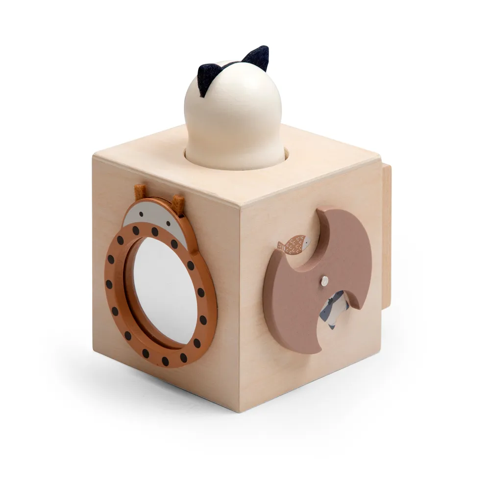 Sebra tre aktivitetskube skogslandskap