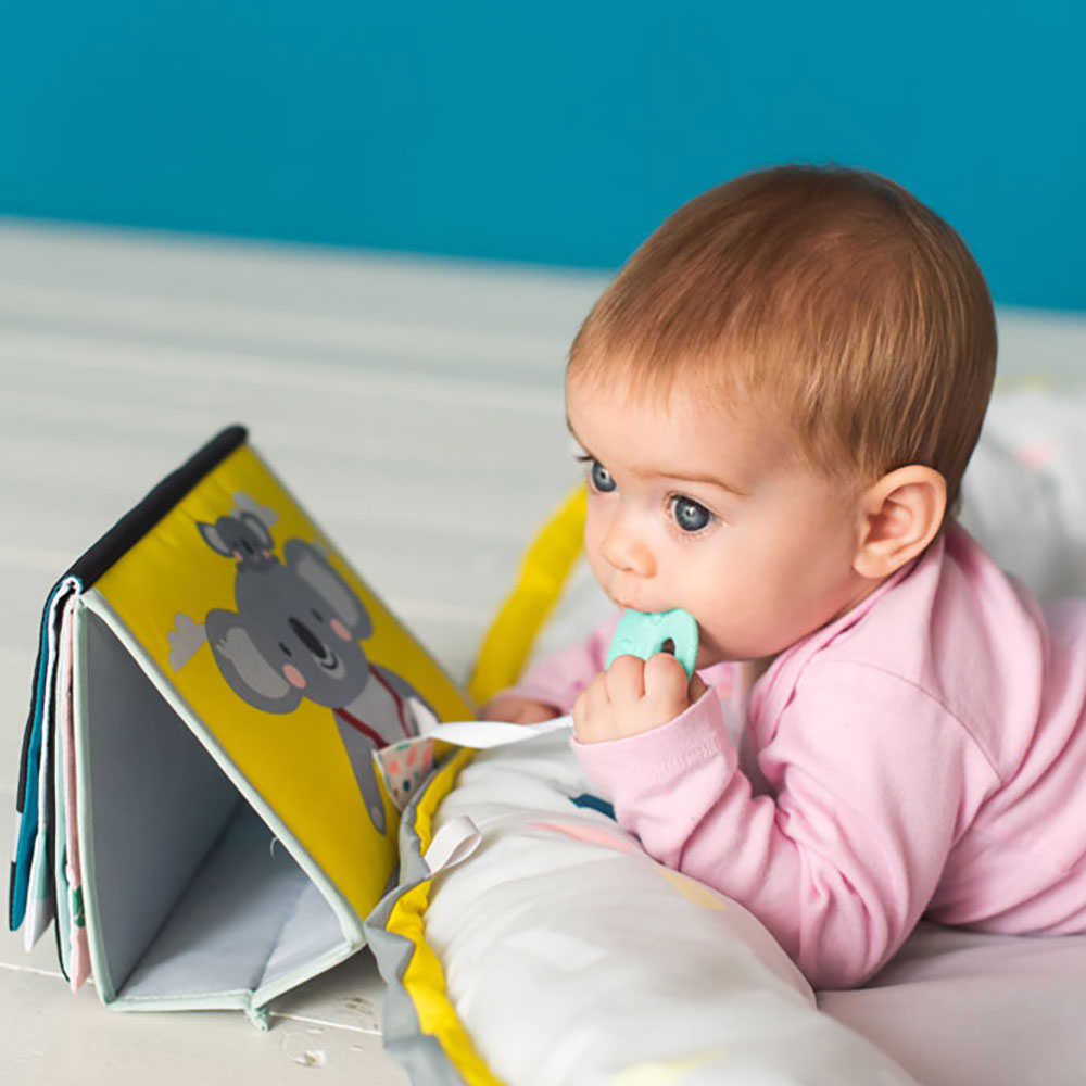 Taf Toys Tummy-Time book
