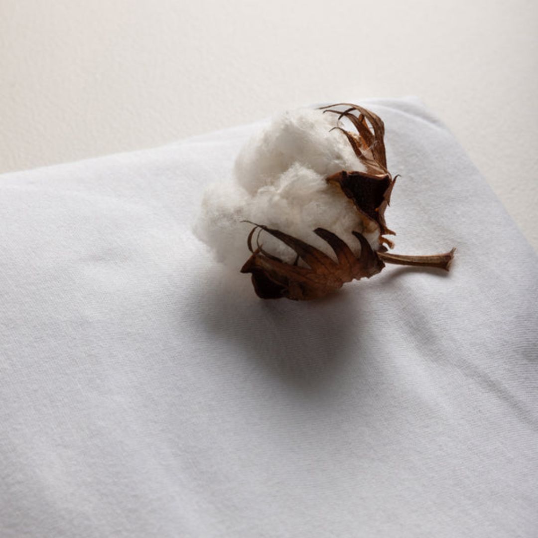 Sebra laken Jersey Junior & Grow Hvit