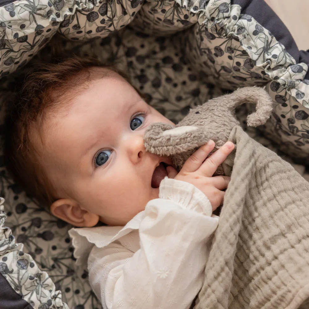 Sebra koseklut Finley elefanten