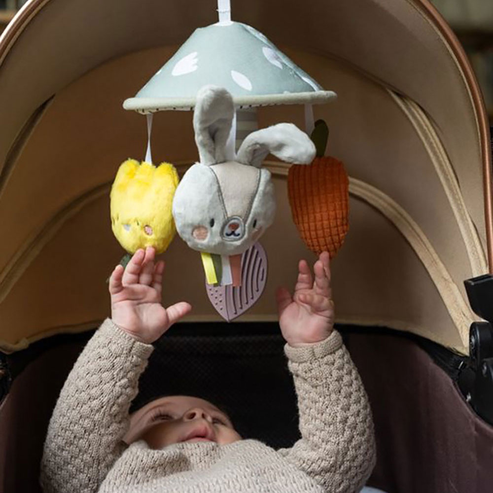 Taf Toys Garden Pram Mobile